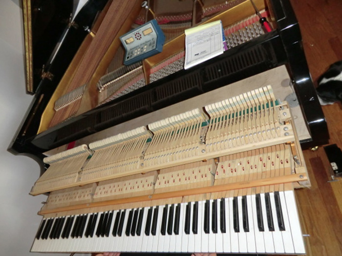 Grand Piano Parts